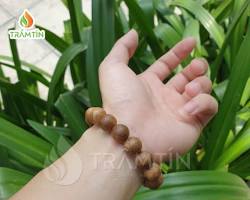 Image of Sản phẩm trầm hương của TTT: tinh dầu, nhang, vòng tay