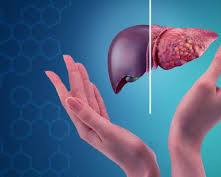 Image of Gan đang hồi phục